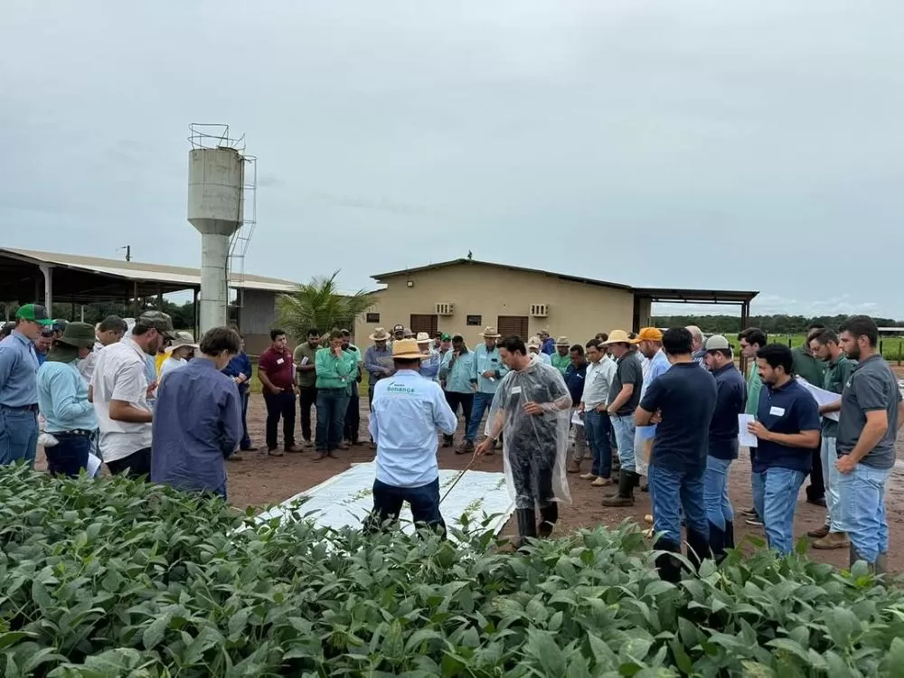 Bettini Consultoria aposta na Farm Show MT 2025 para expandir atuação no agronegócio